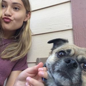 Meet your Posher, Brittany